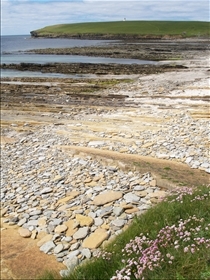 Brough of Birsay